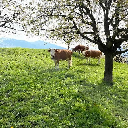Lejlighed Serenity, Spiez